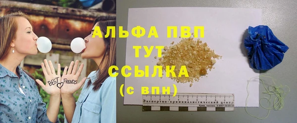 эйфоретик Ельня
