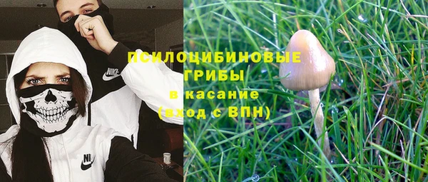 2c-b Елабуга