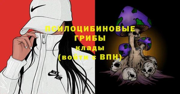 2c-b Елабуга