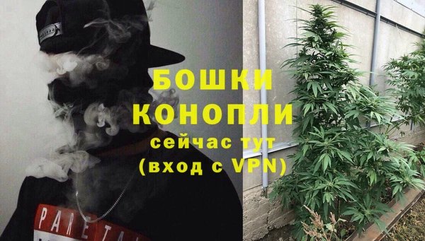 эйфоретик Ельня